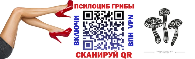 Псилоцибиновые грибы Psilocybe Нефтекумск
